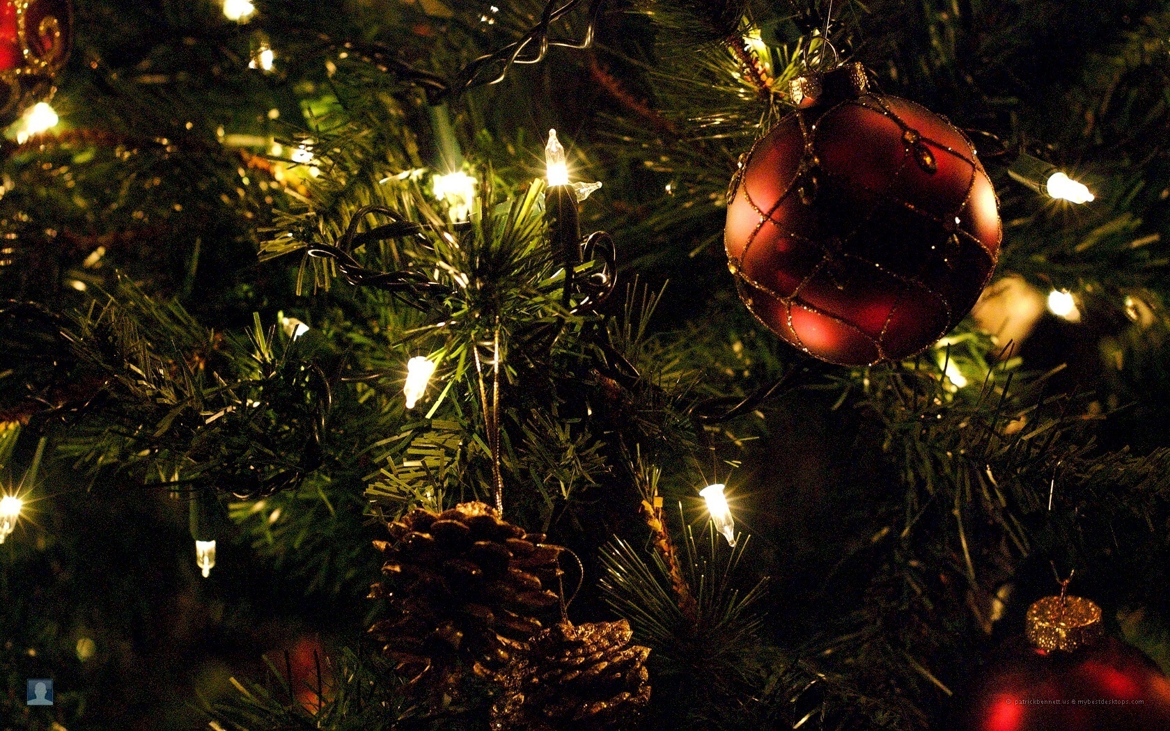 Real or Artificial? The Great Christmas Tree Debate - Go Green Hilliard