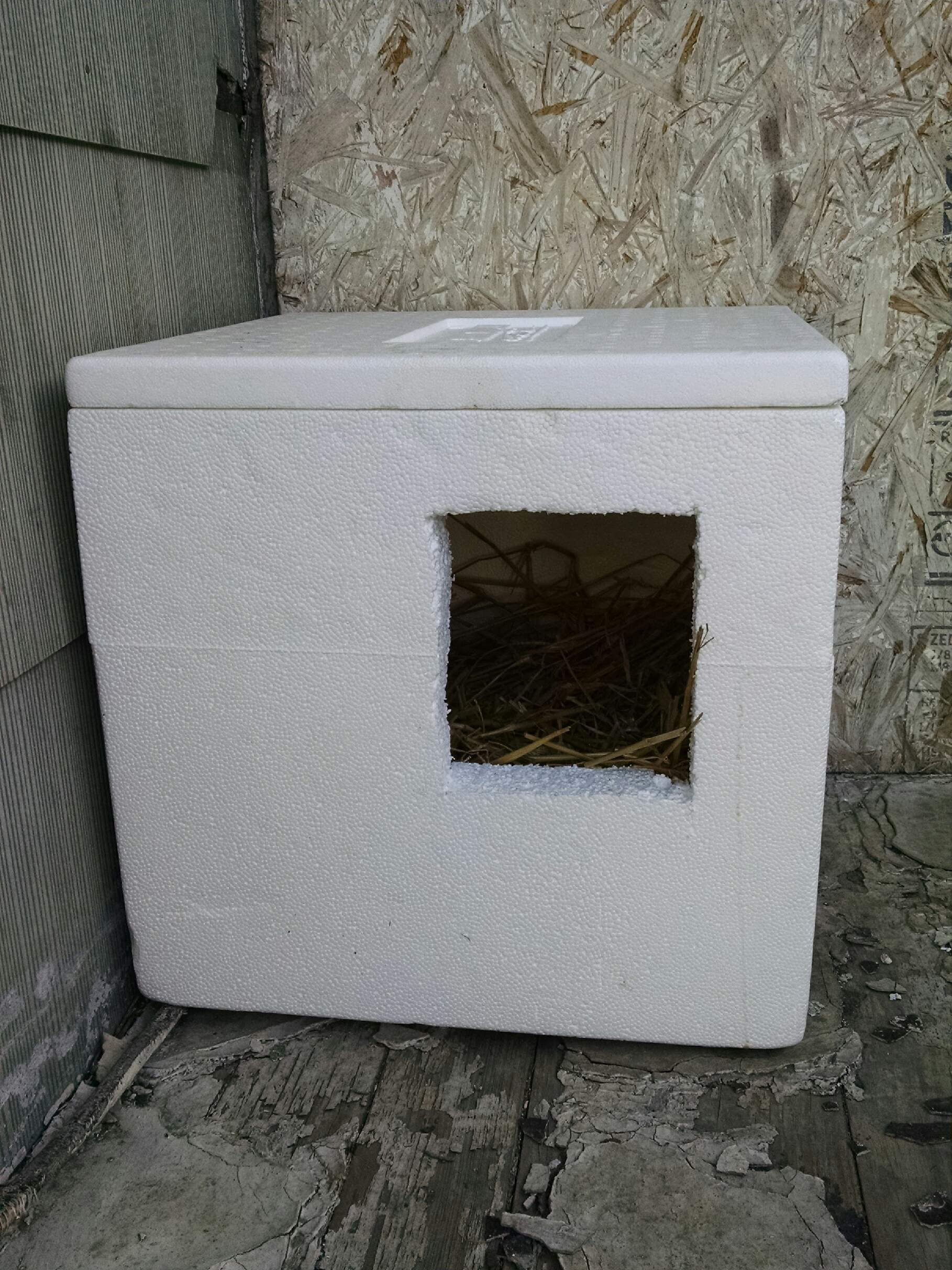 Colony Cats Reuses Styrofoam Coolers By Turning Them Into Cat Shelters Go Green Hilliard
