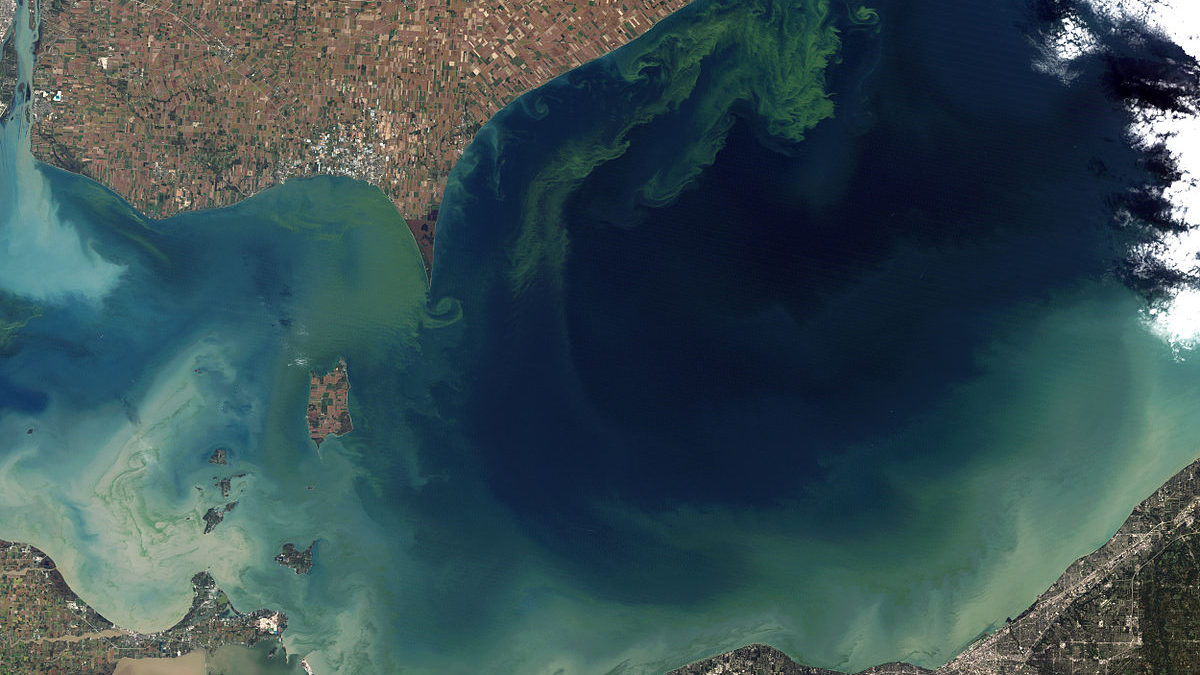 1200px Toxic Algae Bloom in Lake Erie