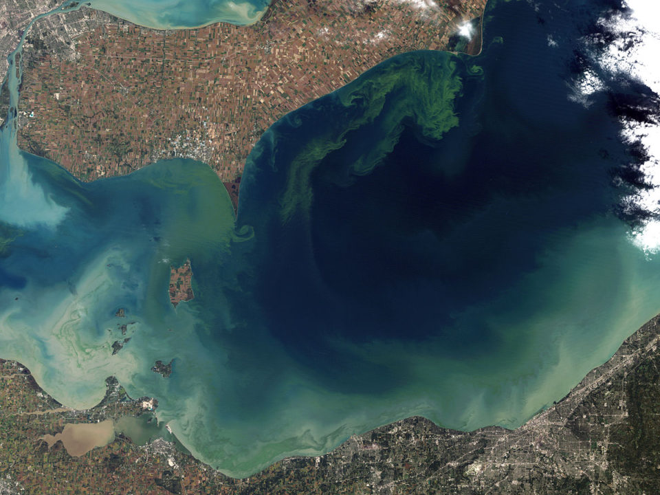 1200px Toxic Algae Bloom in Lake Erie