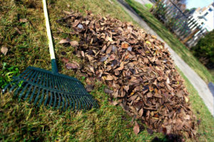 Leaf Rake and Leaves by David Goehring