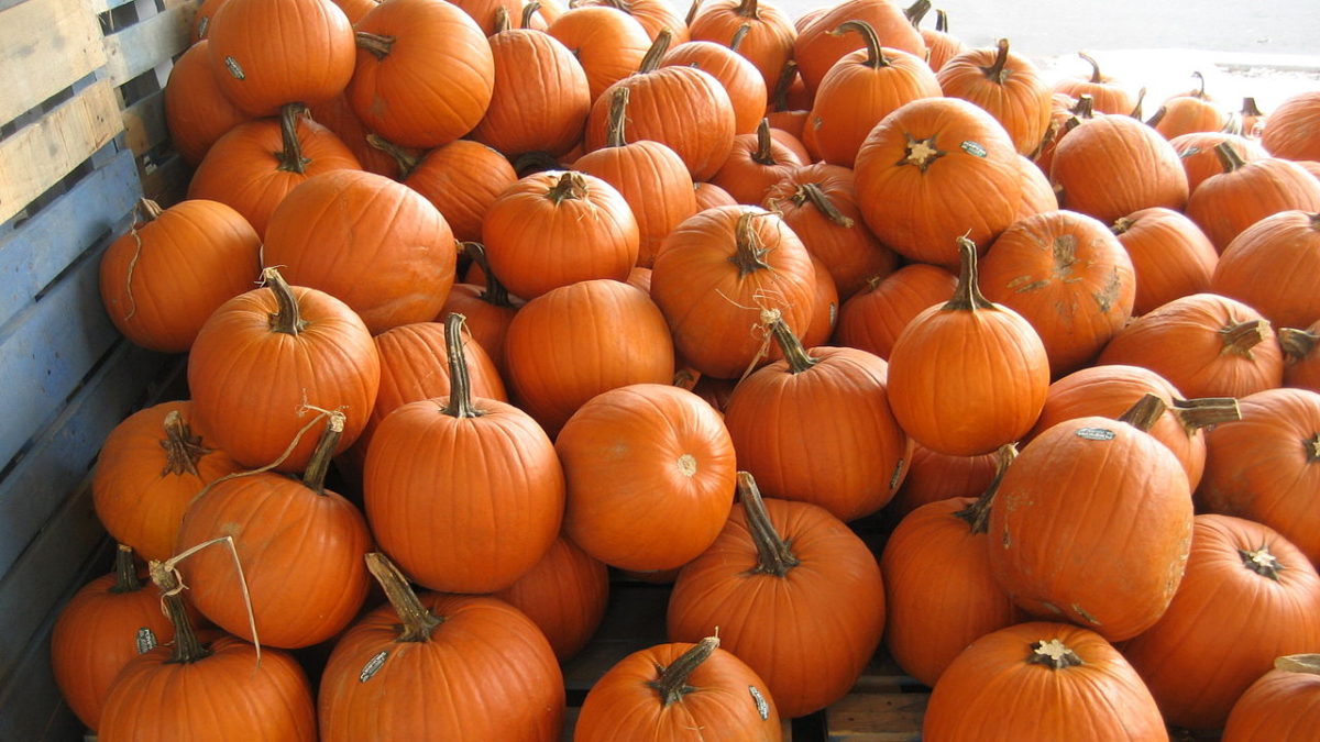 1280px FrenchMarketPumpkinsB