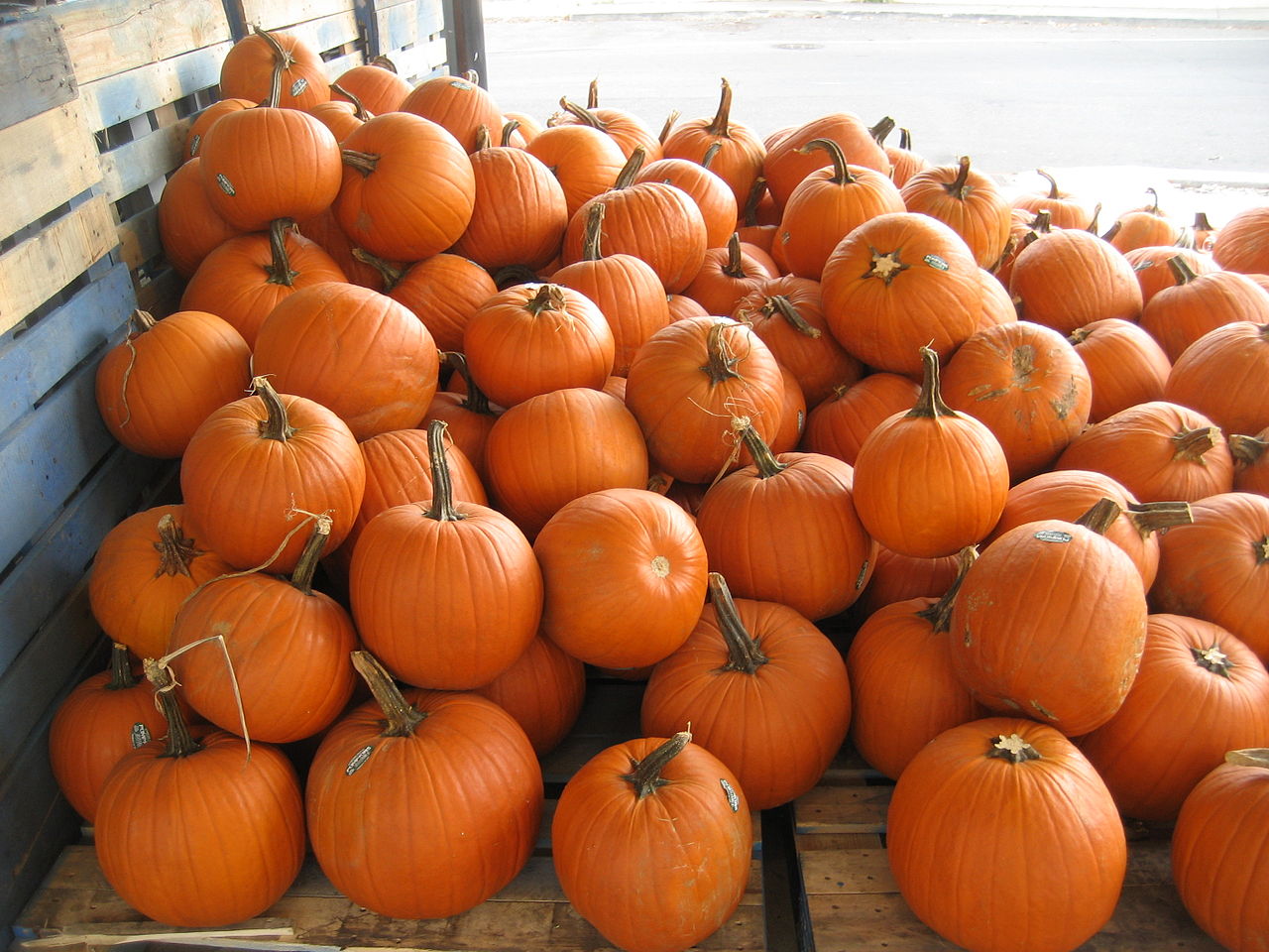 1280px FrenchMarketPumpkinsB