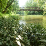 Photo of the Big Darby Creek with bridge in background. By Daniel Button