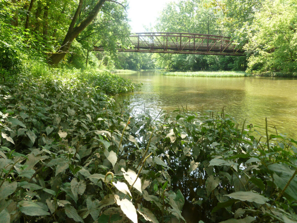 Photo of the Big Darby Creek with bridge in background. By Daniel Button